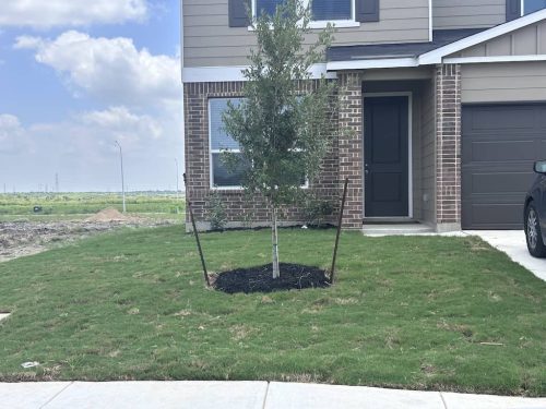 Real-Estate-Appraiser-San-Antonio-6-23-26-001